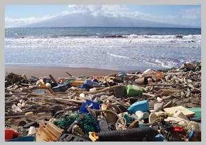 Проблема мусора островов, утилизация автомобилей и машин
